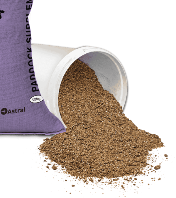 Paddock Supplement